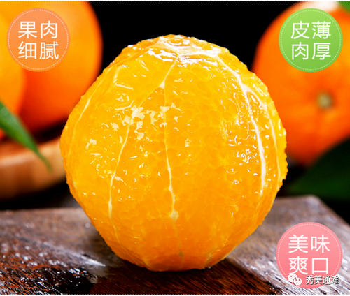 甜橙