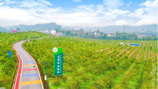 广安邻水县：科技“撑腰”28.4万亩脐橙品质