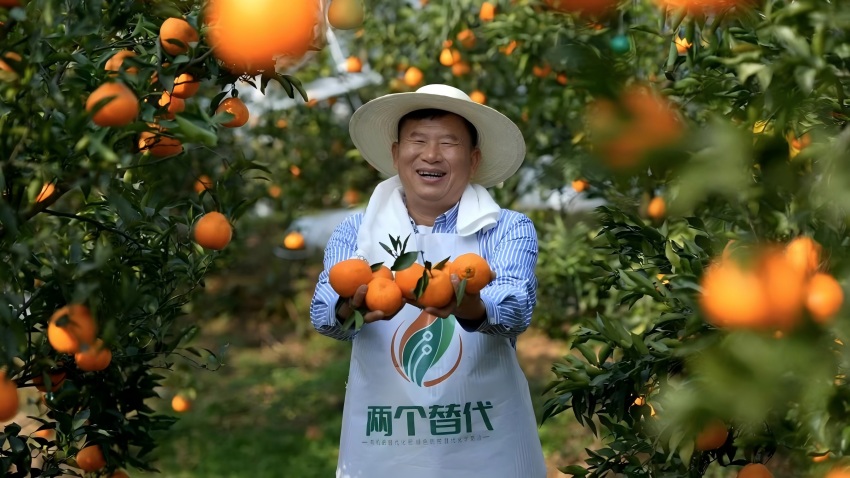 �ɶ��ѽ���һö�����о����Ҹ���ҵ