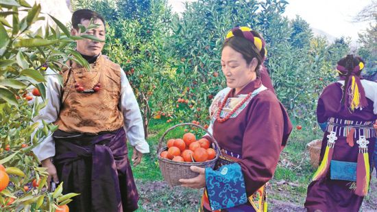 �ÿ������ٱ��¸��������