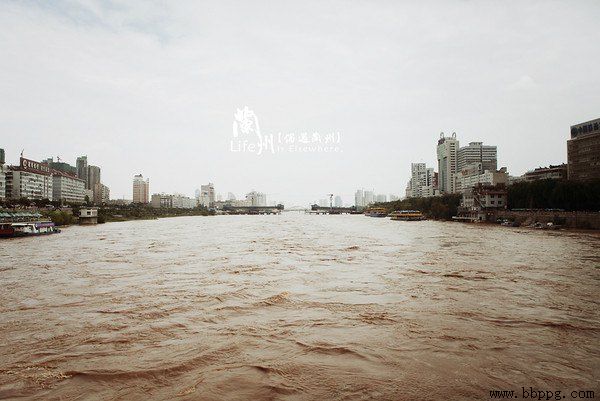 黄河蜜
