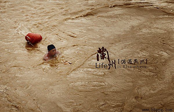 黄河蜜