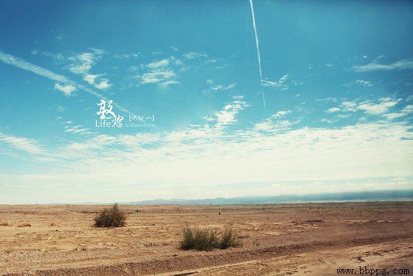 黄河蜜