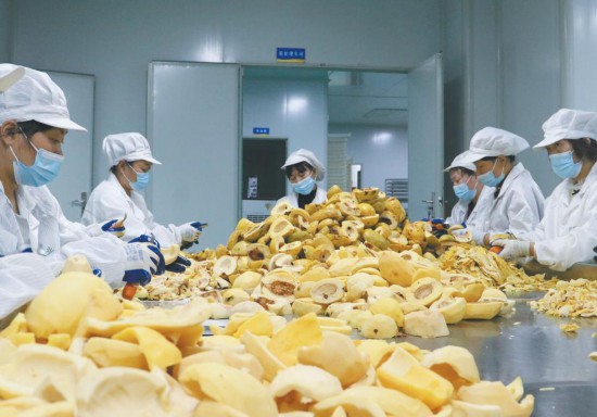 һ��ľ�ϵġ������ǡ�