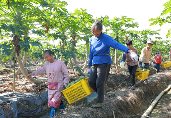 ���أ���ͷ�㡱�캽ľ�ϲ�ҵ������˽�����¸�����