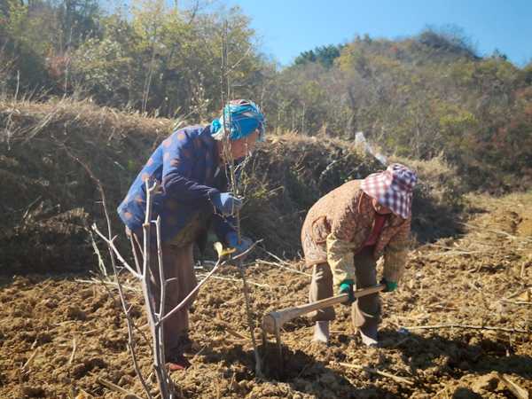 ��Զ��ӿϪ�磺��Ķľ������æ�¸�ϣ�����¸�