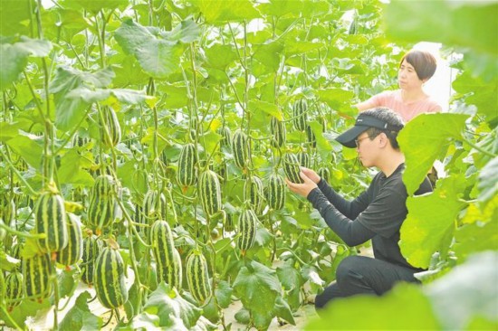 ��Ͻ����ժ��