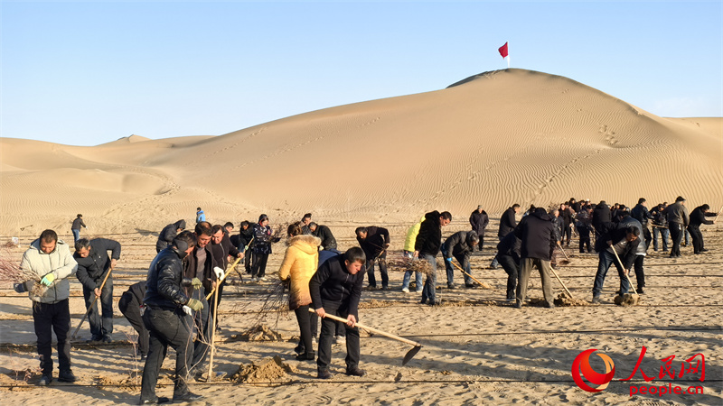 �����¡�֮·حɳ�����̱߻�Į���ɽ