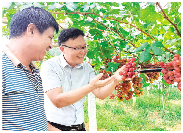 ȫ�ݣ����Ȼʺ�����һ������ɫ�ƹ�����ɹ�