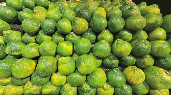 ����ʮ�¡���������������r