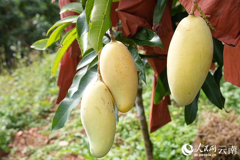 �������ˣ����չϹ�Ʈ���غá��ᡱ��