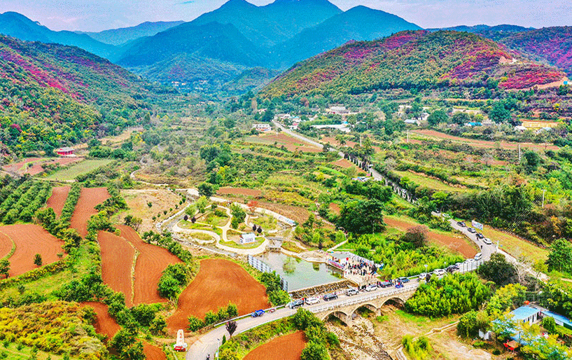 ������ƻ��֮�硱�����ջ�æ