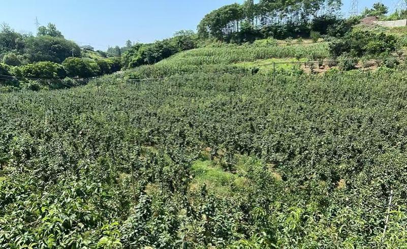 �Թ�����̲��������ƽ���ɺ������۸���