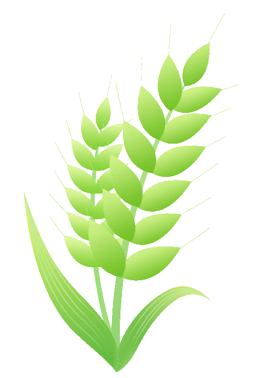 ��֬���Գ�Ϊ��ɽˮ��ļҡ�